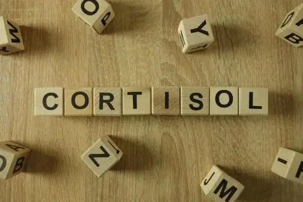 The Hidden Connection: How Stress Shapes Your Fitness and Body Composition 2 Image saying "Cortisol" and how stress Wilmslow impacts your wellbeing and bodies shape